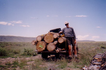 Hauling logs from the Carson National Forest