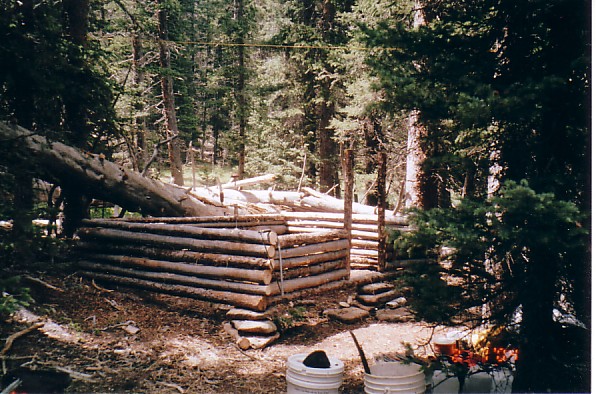 Placing the logs