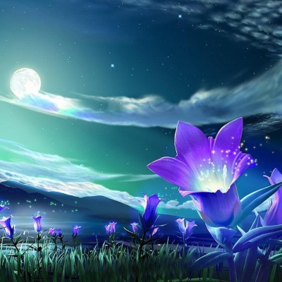  night, moon and purple flower 