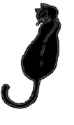 blackcattail.gif (13104 bytes)