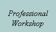 Text Box: Professional Workshop