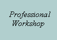 Text Box:   Professional Workshop