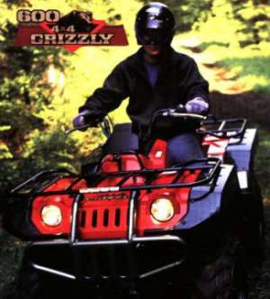 Grizzly 600 4*4