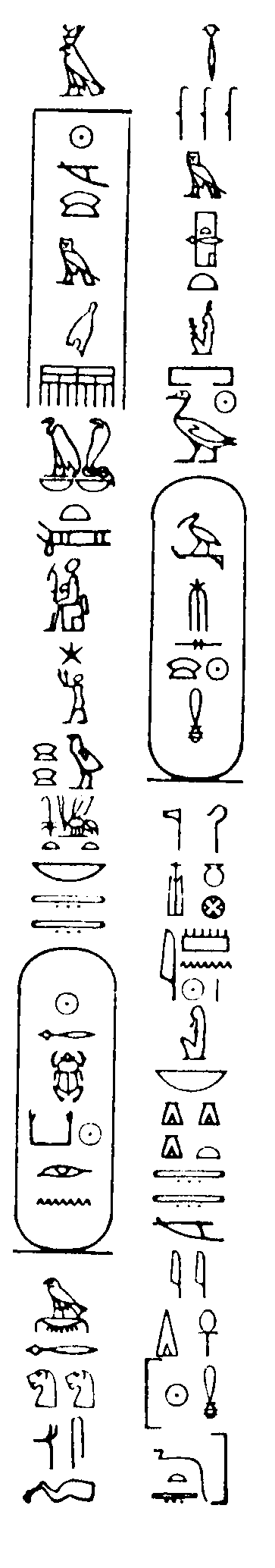 Hieroglyphics North Face