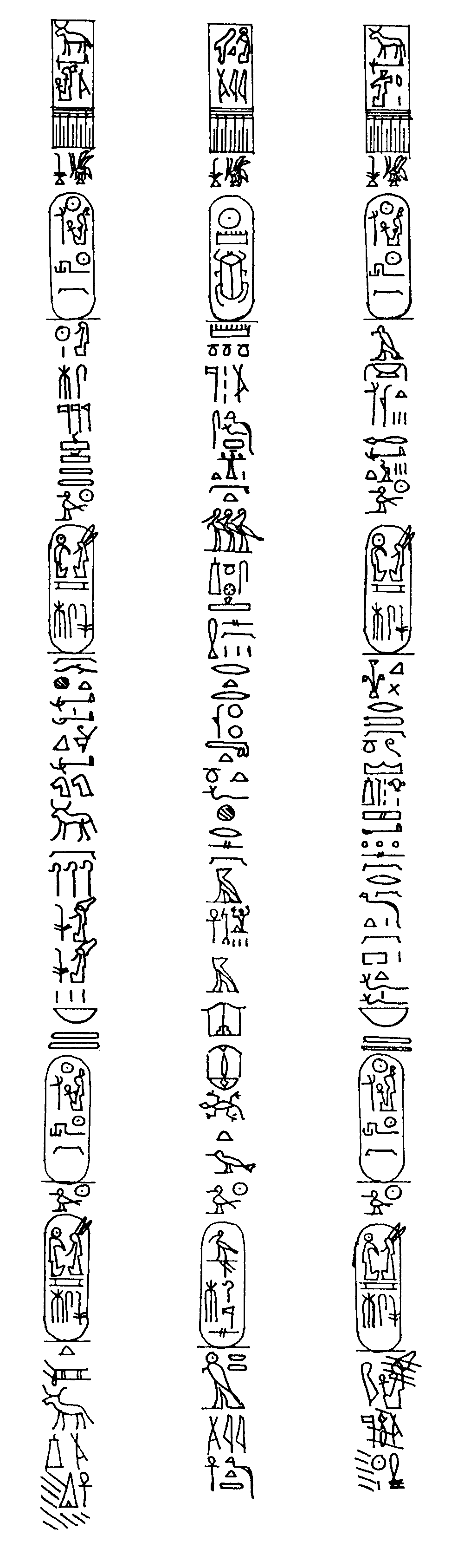 Hieroglyphics North Face