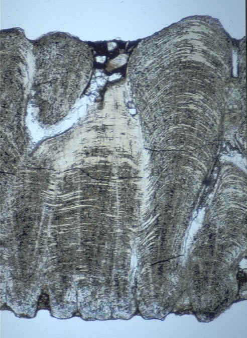 Coupe radiale lumire naturelle Bassin d'Aix Montagne Sainte-Victoire , auteur : Ph.Kerourio , reproduction interdite.jpg (93319 octets)