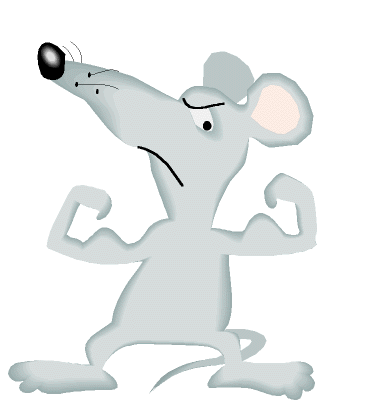 [Mouse with muscles.]