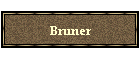 Bruner