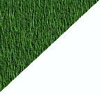 grass_04.gif (6040 bytes)