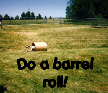 Veovis-Barrel_Roll.jpg