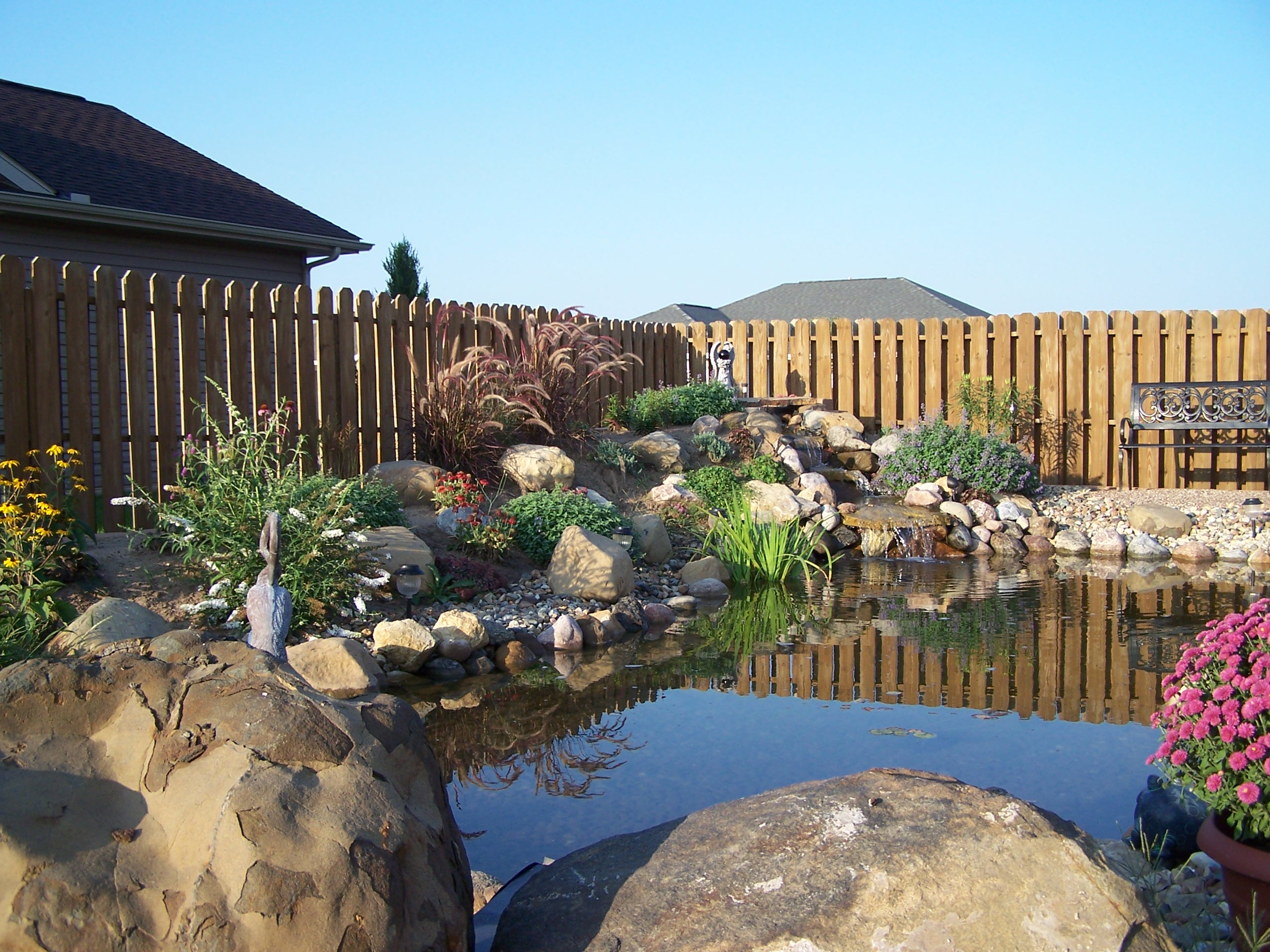 Our_Pond_Project_161.jpg