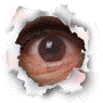 eyeflasham.gif (15346 bytes)