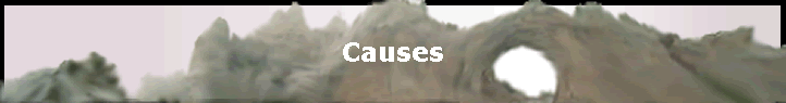 Causes