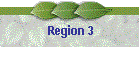 Region 3