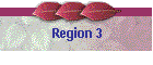 Region 3