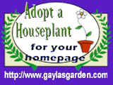 Gayla's Garden Houseplant Adoption Center