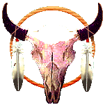 Silverhawk's skull