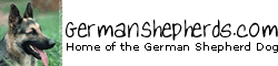 German Shepherds.com