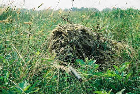 ghillie1.jpg