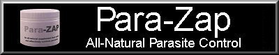ParaZap web site