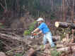 Tim and I both worked to cut up logs.