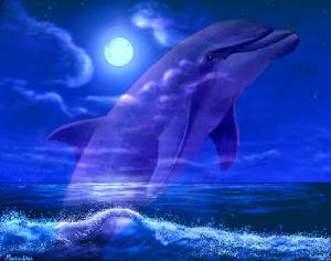 mystic_dolphin.jpg
