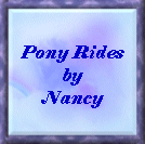 Pony Rides By Nancy