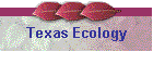 Texas Ecology