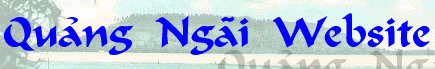 banner qngai 11x1.gif