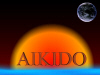 aikido640x480.JPG (21102 bytes)