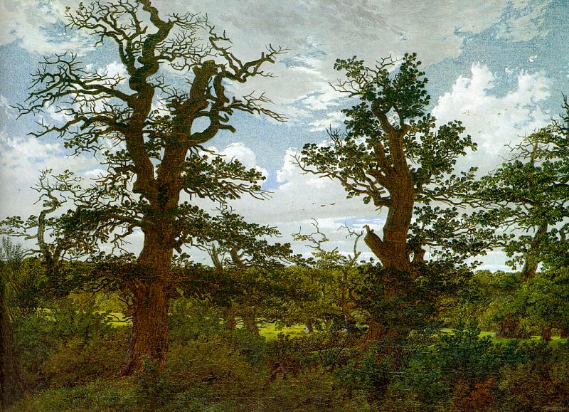 Landscape with oaks by Friedrich