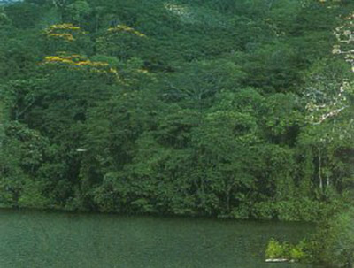 panama darien jungle province canopy characterizes colombia bordering triple eastern note double source most