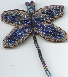 Melanie's dragonfly