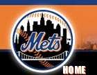 The New York Mets Logo