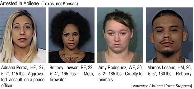adrimarc.jpg Arrested in Abilene (Texas, not Kansas): Adriana Perez, HF, 27, 5'2", 115 lbs, aggravated assault on a peace officer; Brittney Lawson, BF, 22, 5'4", 165 lbs, meth firrewater; Amy Rodriguez, WF, 30, 5'2", 185 lbs, cruelty to animals; Marcos Losano, HM, 26, 5'5", 160 lbs, robbery (Abilene Crime Stoppers)