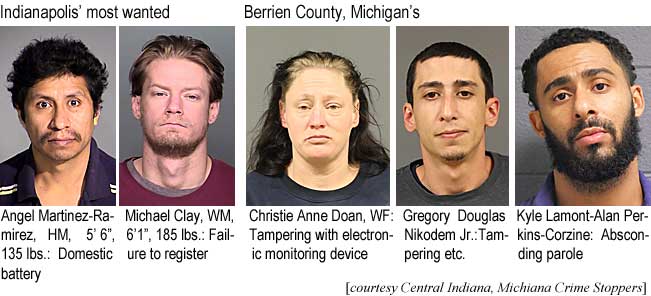 angemich.jpg Indianapolis' most wanted; Angel Martinez-Ramirez, HM, 5'6", 135 lbs, domestic battery; Michael Clay, WM, 6'1", 185 lbs, failure to register; Wanted in Berrien County Michigan: Christie Anne Doan, WF, tampering with electronic monitoring device; Gregroy Douglas Nikodeerm Jr., tampering etc.; Kyle Lamont-Alan Perkins-Corzine absconding parole (Central Indiana, Michiana Crime Stoppers)