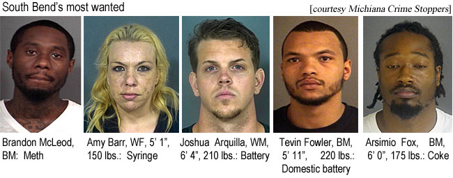 brandonm.jpg South Bend's most wanted (Michiana Crime Stoppers): Brandon McLeod, BM, meth; Amy Bar, WF, 5'1", 150 lbs, syringe; Joshua Arquilla, WM, 6'4", 210 lbs, battery; Tevin Fowler, BM, 5'11", 220 lbs, domestic battery; Arsimio Fox, BM, 6'0", 175 lbs, coke