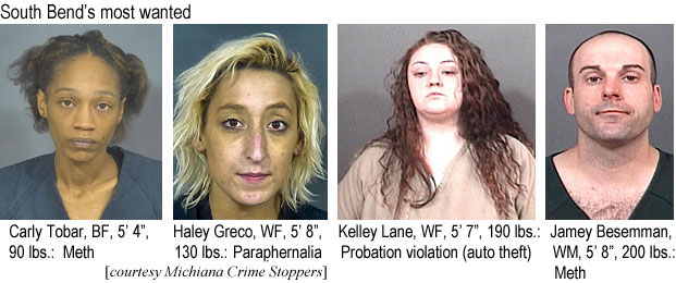 carlytob.jpg South Bend's most wanted: Carly Tobar, 5'4", 90 lbs, meth; Haley Greco, WF, 5'8", 130 lbs, paraphernalia; Kelley Lane, WF, 5'7", 190 lbs, probation violation (auto theft); Jame Besemman, WM, 5'8", 200 lbs, meth (Michiana Crime Stopers)