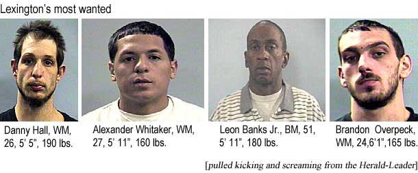 Lexington's most wanted: Danny Hall, WM, 26, 5'5", 190 lbs; Alexander Whitaker, WM, 27, 5'11", 160 lbs; Leon Banks Jr., BM, 51, 5'11", 180 lbs; Brandon Overpeck, WM, 24, 6'1", 165 lbs (pulled kicking and screaming from the Herald-Leader)