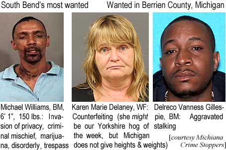 delrecom.jpg South Bend's most wanted: Michael Williams, BM, 6'1", 150 lbs Invasion of privacy, criminal mischief, marijuana, disorderly, trespass; Wanted in Berrien County, Michigan: Karen Marie Delaney, WF, counterfeiting; Delreco Vanness Gillespie, BM, aggravated stalking (Michiana Crime Stoppers)