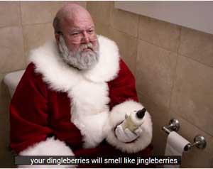 dingberry.jpg your dingleberries will smell like jingle berries