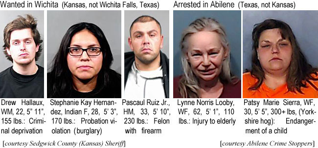 drewloob.jpg Wanted in Wichita (Kansas, not Wichita Falls, Texas): Drew Hallaux, WM, 22, 5'11", 155 lbs, criminal deprivation; Stephanie Kay Heernandez, Indian F, 28, 5'3", 170 lbs, probation violation (burglary); Pascaul Ruiz Jr., HM, 33, 5'10", 230 lbs, felon with firearm (Sedgwick County Sheriff); Arrested in Abilene  (Texas, not Kansas): Lynne Norris Looby, WF, 62, 5'1", 110 lbs, injury to elderly; Patsy Marie Sierra, WF, 30, 5'5", 300+ lbs (Yorkshire hog), endangerment of a child (Abilene Crime Stoppers)