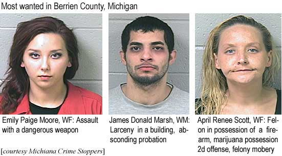 Most wanted in Berrien County, Michigan: Emily Paige Moore, WF, assault with a dangerous weapon; Donald James Marsh, WM, larceny in a building, absconding probation; April Renee Scott, WF, felon in possession of a firearm, marijuana possession 2nd offense, felony mobery (Michiana Crime Stoppers)