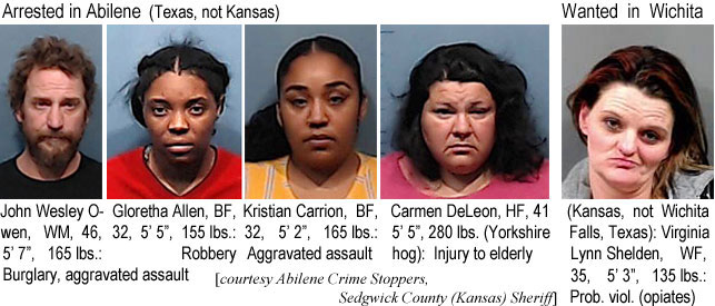 gloretha.jpg Arrested in Abilene (Texas, not Kansas): Gloretha Allen, BF, 32, 5'5", 155 lbs, robbery; Kristian Carrion, BF, 32, 5'2", 165 lbs, aggravated assault; Carmen DeLeon, HF, 41, 5'5", 280 lbs (Yorkshire hog), injury to elderly; John Wesley Owen, AM, 46, 5'7", 165 lbs, burglary, aggravatred assault; Wanted in Wichita (Kansas, not Wichita Falls, Texas): Virginia Lynn Shelden, WF, 35, 5'3", 135 lbs, prob. viol. (opiates) (Abilene Crime Stoppers, Sedgwick County (Kansas) Sheriff)