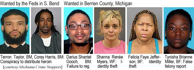 goochtay.jpg Wanted by the Feds in S. Bend: Terron Taylor, BM, Corey Harris, BM, conspiracy to distribute heroin; Wanted in Berrien County, Michigan: Darius Shantel Gooch, BM, failure to reg.; Shanna Renée Myers, WF, identity theft; Felicia Faye Jefferson, BF, identity theft; Tynisha Brianne Miller, BF, false felony report (Michiana Crime Stoppers)