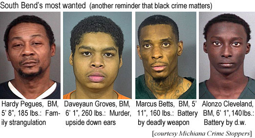 hardypeg.jpg South Bend's most wanted (another reminder that black crimer matters): Hardy Pegues, BM, 5'8", 185 lbs, family strangulation; Daveyaun Groves, BM, 6'1", 260 lbs,murder, upside down ears; Marcus Betts, BM, 5'11", 160 lbs, battery by deadly weapon; Alonzo Cleveland, BM, 6'1", 140 lbs, battery by d.w. (Michiana Crime Stoppers)