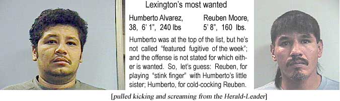 Lexington's most wanted: Humberto Alvarez, 38, 6'1", 240 lbs; Reuben Moore, 5'8", 160 lbs; Humberto was at the top of the list, but he's not called "featured fugitive of the week"; and the offense is not stated for which either is wanted; so, let's guess: Rebuen, for playing "stink finger" with Humberto's little sister; Humberto, for cold-cocking Reuben (pulled kicking and screaming from the Herald-Leader)