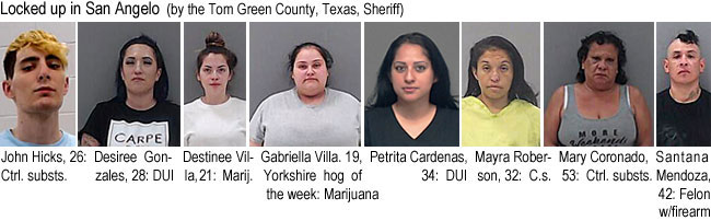 johnhicl.jpg Locked up in San Angelo (by the Tom Green County, Texas, Sheriff): John Hicks, 26, ctrl. substs.; Desiree Gonzales, 28, DUI; Destinee Villa, 21, Marij.; Gabriella Villa, 19, Yorkshire hog of the week, marijuana; Petrita Caardenas, 34, DUI; Mayra Roberson, 32, c.s.; Mary Coronado, 53, ctrl. substs.; Santana Mendoza, 42, felon w/firearm
