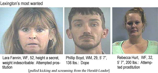 laraphil.jpg Lexington's most wanted: Lara Fannin, WF, 52, height a secret, weight indescribable, attempted prostitution; Phillip Boyd, WM, 29, 5'7", 136 lbs, dope; Rebecca Hurt, WF, 32, 5'7", 200 lbs, attempted prostitution (pulled kicking and screaming from the Herald-Leader)