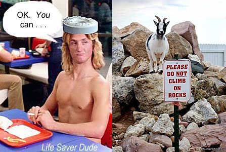 lifegoat.jpg  Life Saver Dude OK, You can  . . . pleasedo not climb on rocks